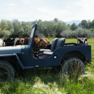 Richard Jones 1943 GPW_16