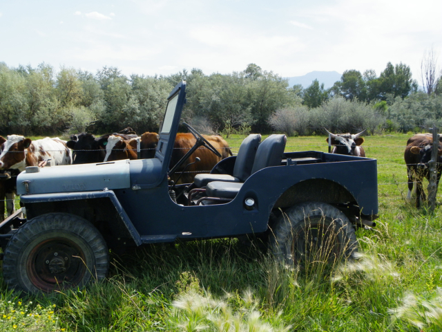 richard jones 1943 gpw 16