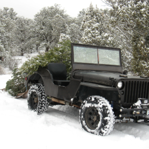 Richard Jones 1943 GPW_18