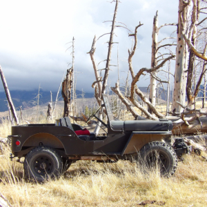 KODAK Digital Still Camera