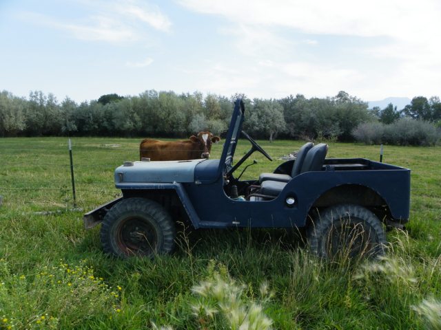 richard jones 1943 gpw 9