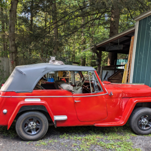 Richard Sparling 1949 JeepsterVJ3_2