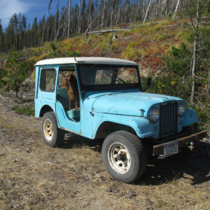 Rick Bruggeman 1961 CJ 5_1