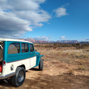 Rick Heimer 1960 Station Wagon 2