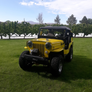 Rick Rhodes Jr 1953 CJ 3B_2