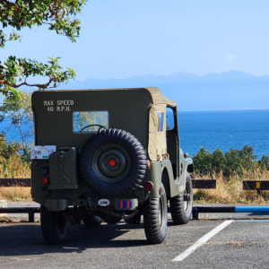 Robert VanDorsten 1953 M38A1_2