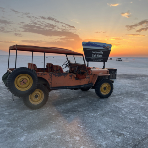 Rochelle Pall 1946 CJ 2A_3