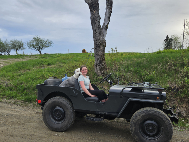 rodolphe gygax 1948 willys cj2a 2