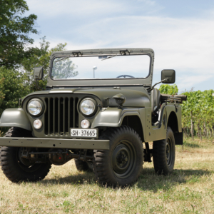 Roland Mayer 1960 CJ 5 2