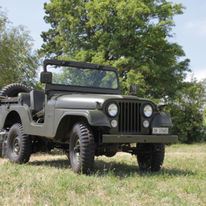 Roland Mayer 1960 CJ 5 3