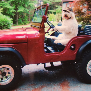 Roy Sylvia 1961 CJ 5_2