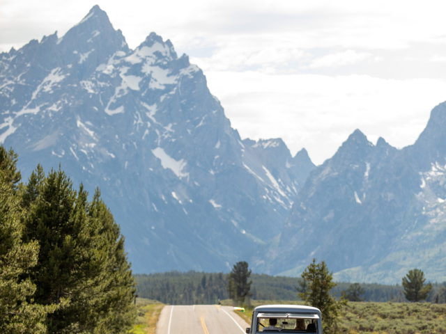 sigsbee duck 1951 willys wagon 9