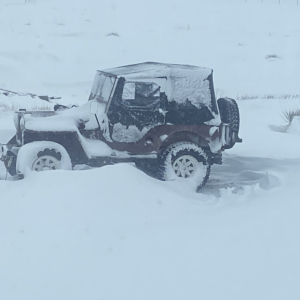 Stanley Schell 1948 CJ 2A_2