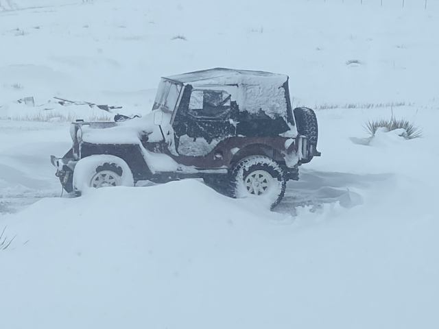 stanley schell 1948 cj-2a