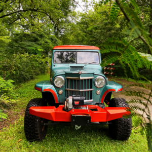 Stephen Dobbs 1959 WillysWagon_3