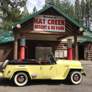 Steve Elkins 1949 Jeepster_1
