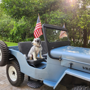 Steve Martin 1954 CJ 3B_2