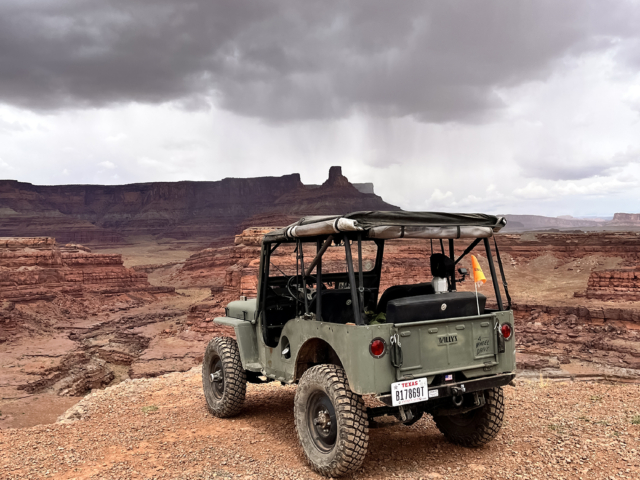 tim&amp;max sage 1949 cj-3a