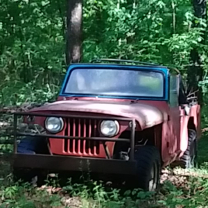 Trevor Shattuck Jeepster Commando 4