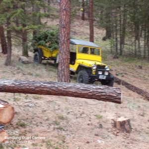 Tyson Sanderson01948 CJ 2A_1