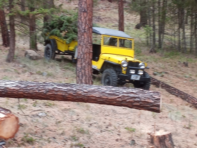 tyson sanderson01948 cj-2a