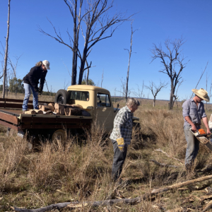 Vaughn Becker 1942 MB & 1957 CJ3B 6