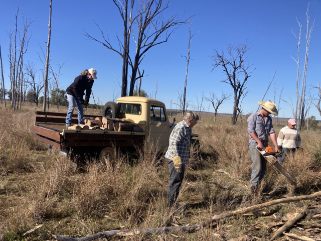 Vaughn Becker 1942 MB & 1957 CJ3B 6 vaughn becker 1942 mb & 1957 cj3b 6