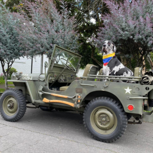 Victor Alexander Merchan Mendoza MB and 1948 3