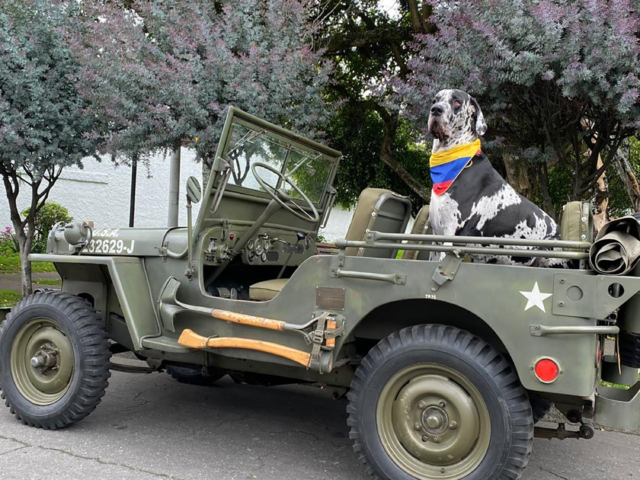 victor alexander merchan mendoza mb and 1948 3