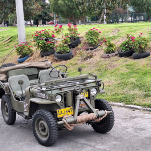 Victor Avila 1944 Willys MB 14