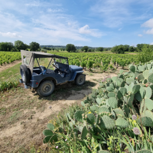 Vincent Saumade 1943 MB_15