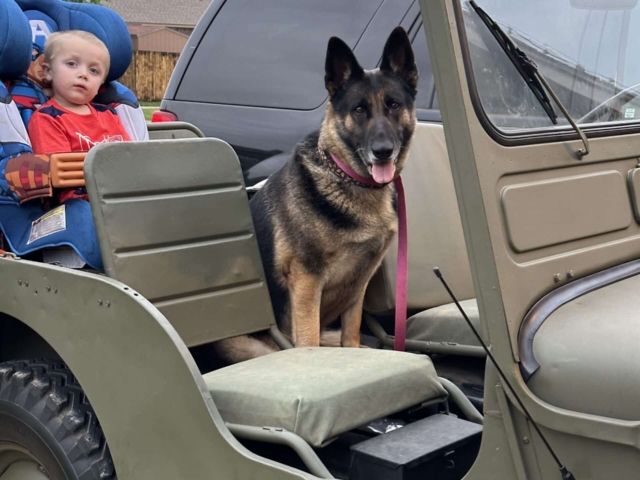 hunter guthrie 1949 cj-3a